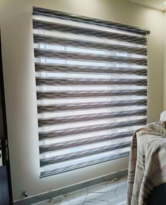 Zebra Romen blind